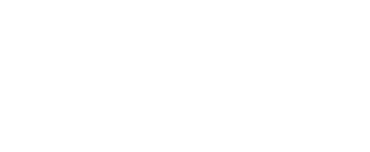 Mags Bürgerportal (QA)